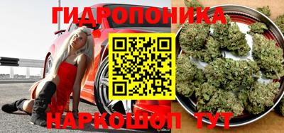 ГАЛЛЮЦИНОГЕННЫЕ ГРИБЫ Усть-Илимск