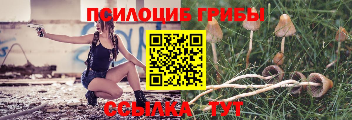 где можно купить   Вход с VPN  Новый Уренгой  Псилоцибиновые грибы MAGIC MUSHROOMS 